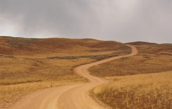 Road, mountains, field, storm, gray clouds