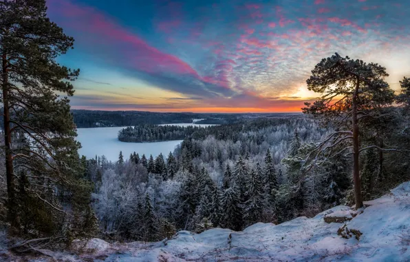 Picture winter, snow, landscape, sunset, nature, lake, forest, Bank