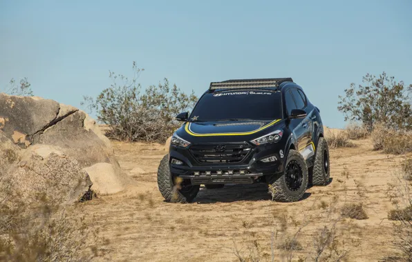 Hyundai, Rockstar, Performance, Garage, Tucson, stones desert