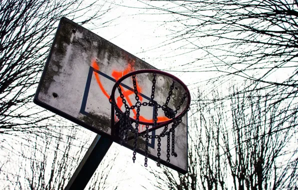 Picture basket, sport, shield