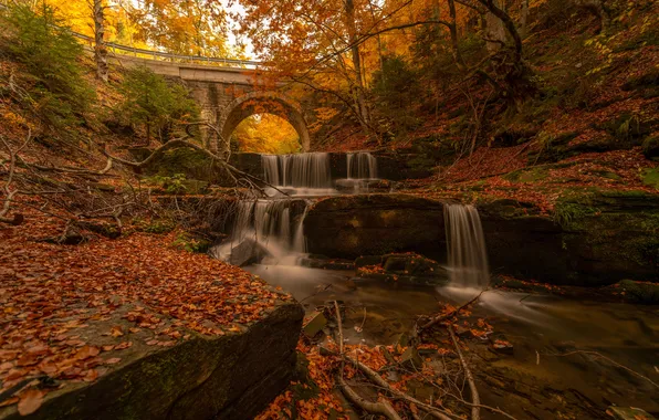 Autumn, trees, bridge, river, waterfall, cascade, fallen leaves, Bulgaria