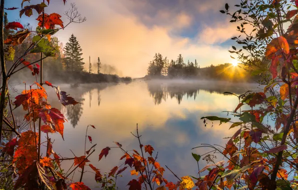 Autumn, RED, Lake, Forest