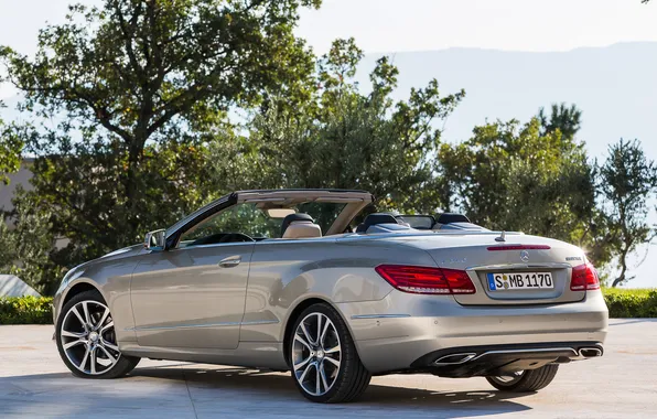 Machine, trees, Mercedes-Benz, rear view, Cabrio, BlueTec, E 350