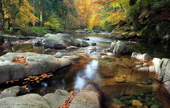 Picture autumn, nature, river