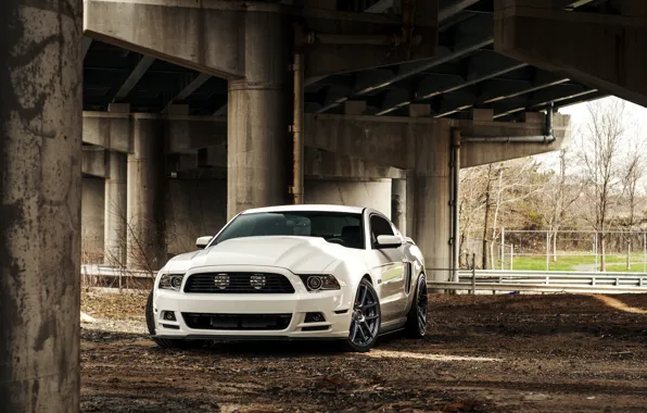 Mustang, Ford, Ford, Muscle, Mustang, white, Car, 5.0