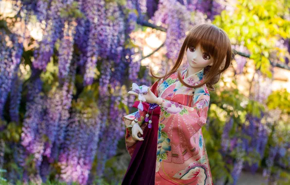 Doll, Wisteria, Wisteria
