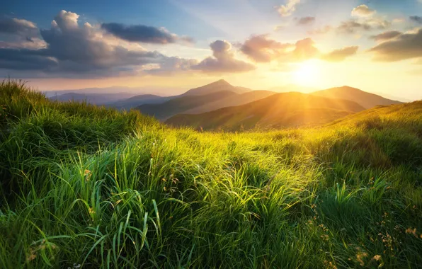 Greens, the sky, grass, the sun, clouds, rays, mountains, dawn
