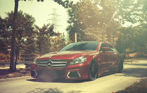 Picture Mercedes-Benz, red, front, Mercedes Benz, CLS-class, CLS 63