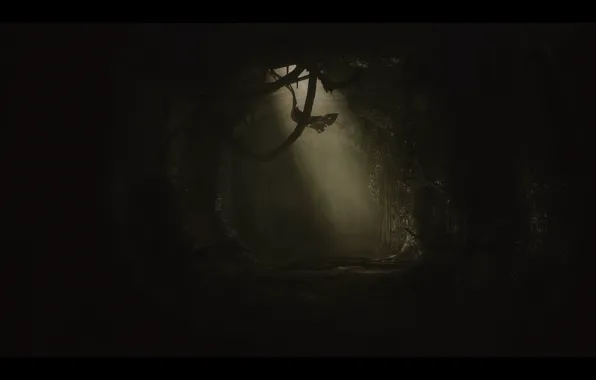 Darkness, the darkness, gorge, scary