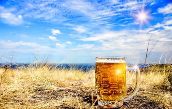Picture the sky, grass, the sun, clouds, landscape, beer, mug, bokeh