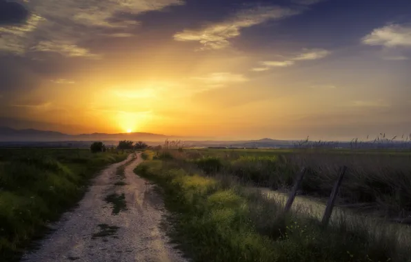 Road, field, sunset, the fence