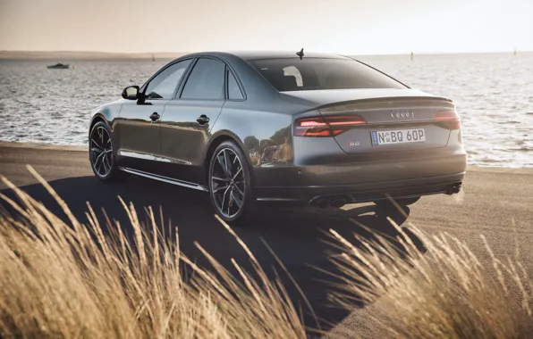 Picture auto, grass, light, Audi, Audi, rear view, More