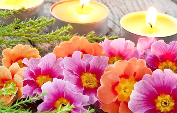 Picture Flowers, spring, candles