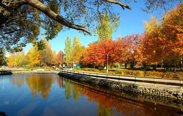 Picture autumn, The city, Russia, Tolyatti, children's Park