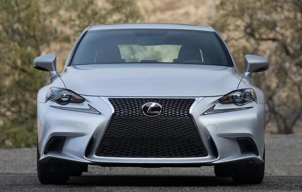 Picture machine, lights, Lexus, the front, IS 350, F-Sport