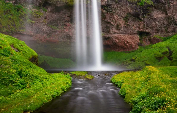 Grass, river, stream, rocks, waterfall