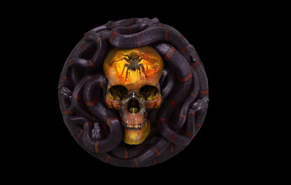Picture rendering, skull, snake, art, Grigory Lebidko, 12 Sins: Envy