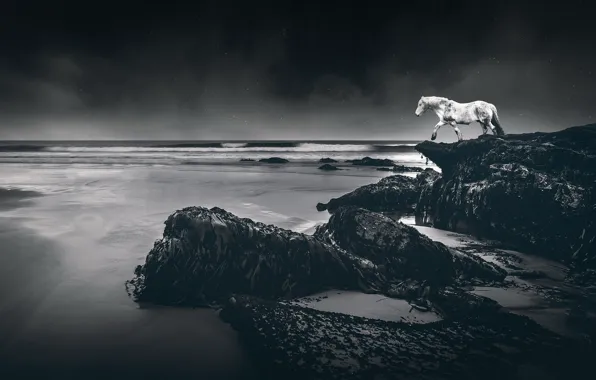 Sea, stars, landscape, mountains, night, rendering, rocks, horse
