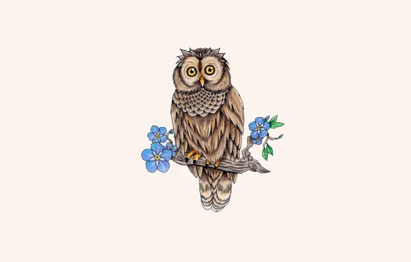 Leaves, tree, owl, bird, branch, owl