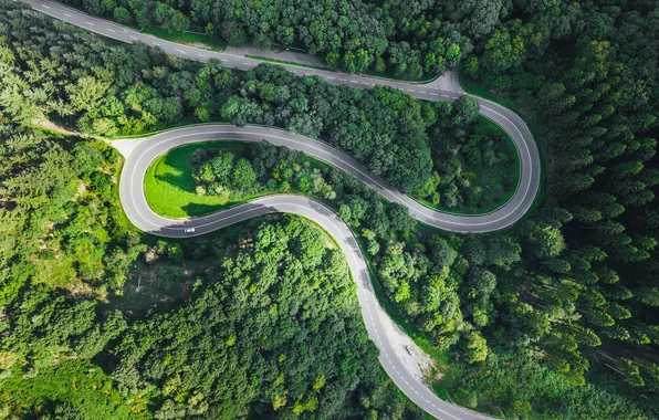 Forest, road, curves, motor vehicle, civil engineering