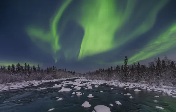 Picture winter, snow, trees, landscape, night, nature, river, Northern lights