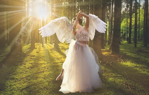 Forest, girl, rays, light, trees, nature, pose, movement