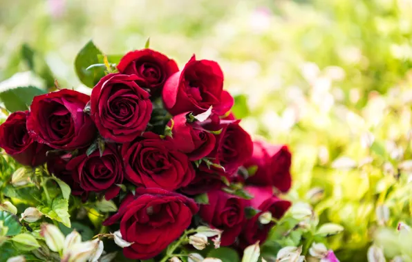 Picture red, roses, bouquet, wood, romantic, red roses