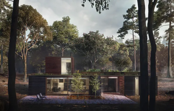 Forest, leaves, chairs, architecture, structure