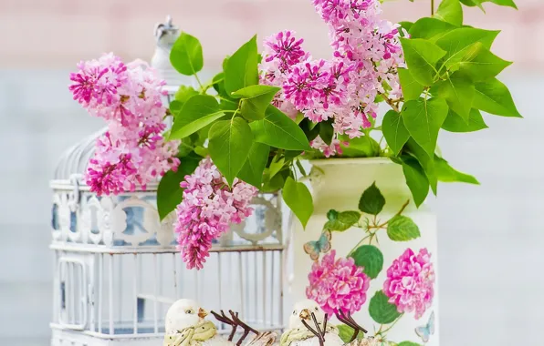 Leaves, flowers, cell, lilac, Branches, Lilac, Foliage