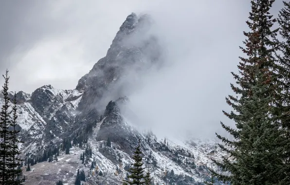 Winter, the sky, snow, trees, mountains, nature, fog, rocks