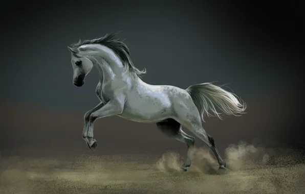 Picture horse, horse, dust, art, white
