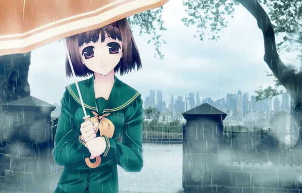 Picture trees, the city, umbrella, rain, anime, girl