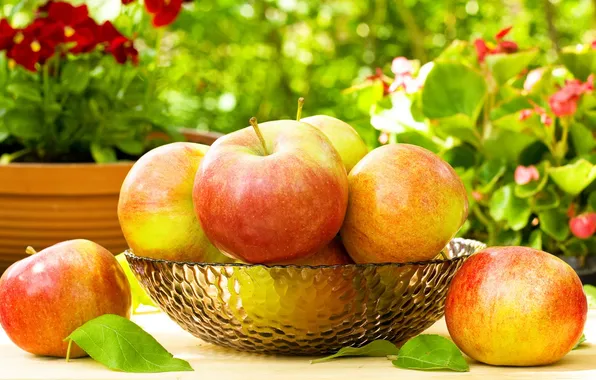 Apples, fruit, basket, leaves