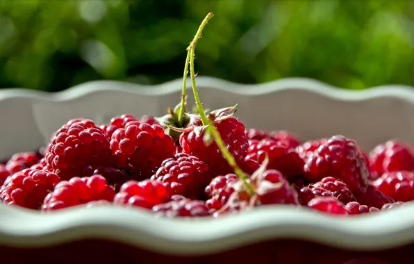 Picture berries, raspberry, food