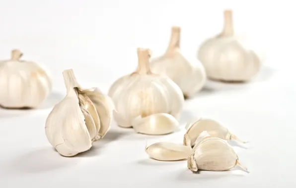 Picture white background, garlic, teeth