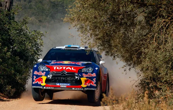 Sport, Machine, Citroen, Portugal, DS3, WRC, Rally, The front
