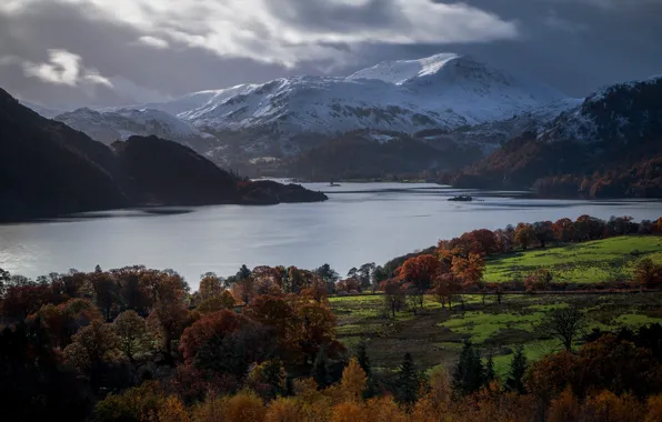 Picture mountains, snow, trees, shore, tops, pond, lake, forest