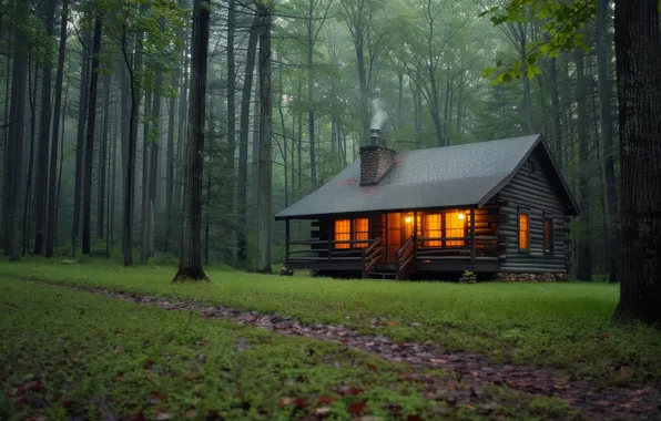 Grass, light, trees, landscape, nature, lights, comfort, house