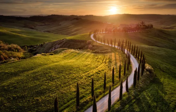 Road, field, the sun, light, hills, dal, Italy, cypress