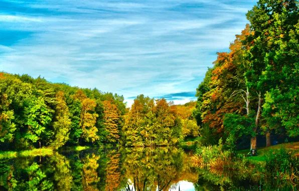Picture autumn, forest, the sky, trees, lake, river