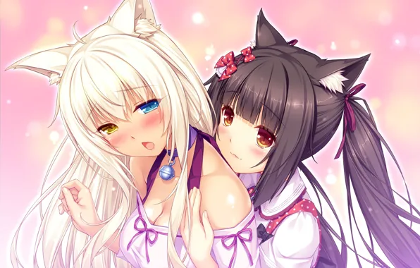 Girls, anime, neko, Nekopara
