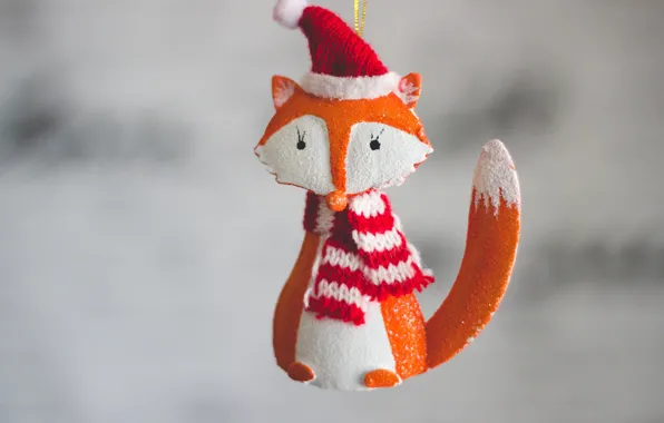 Year, New, Fox