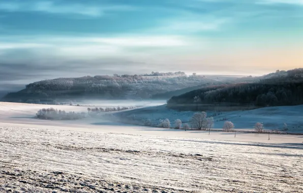 Picture winter, field, fog, morning