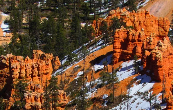 Snow, trees, mountains, rocks, Utah, USA, Bryce Canyon National Park