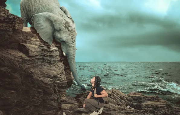 Sea, people, elephant