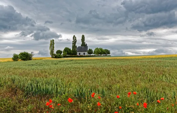 Field, grass, clouds, trees, Maki, home, Germany, horizon