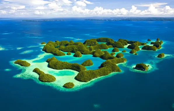 Picture sea, greens, the ocean, island