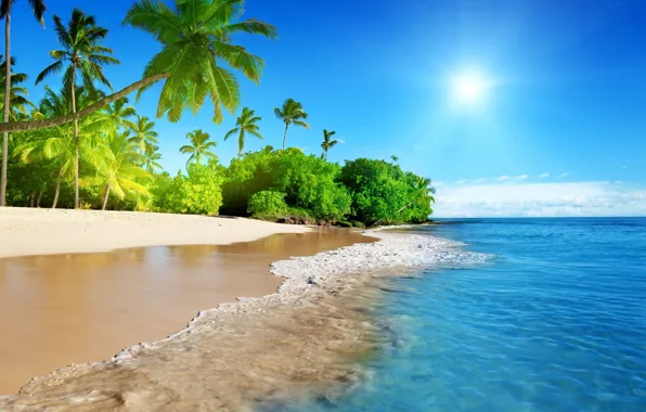 The sun, tropics, palm trees, the ocean, wave