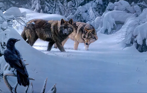 Winter, bird, wolves, painting, trio, bird, winter, trio