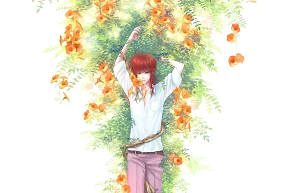 Flowers, anime, art, guy, Kurama, Yu Yu No Where